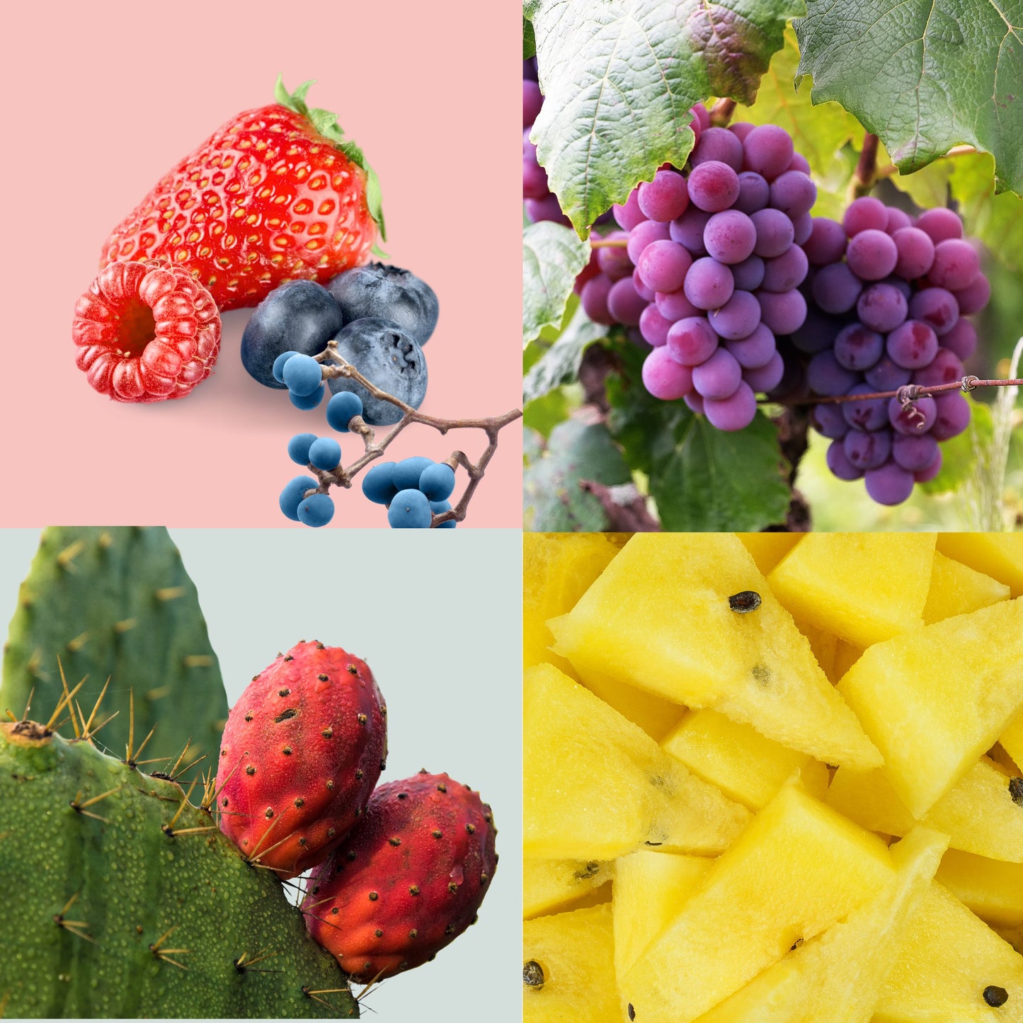 Glowing Duo Set - Glowing Berry Vegan face Oil & Rose Petals Exfoli Cleansing Powder