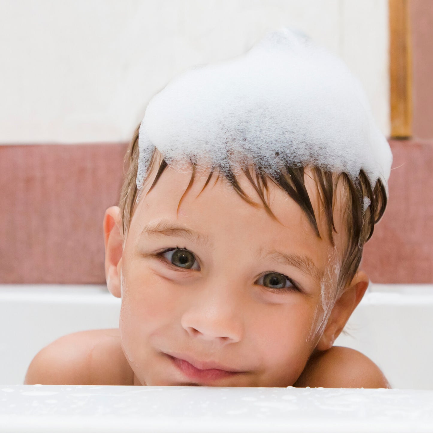 Gentle French Lavender - All-in-One Shower & Shampoo Bar